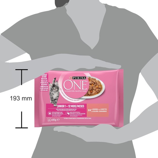 PURINA ONE Junior with Salmon for Kittens | 4 x 85g | Pack of 4 PURINA ONE Junior with Salmon for Kittens | 4 x 85g | Pack of 4