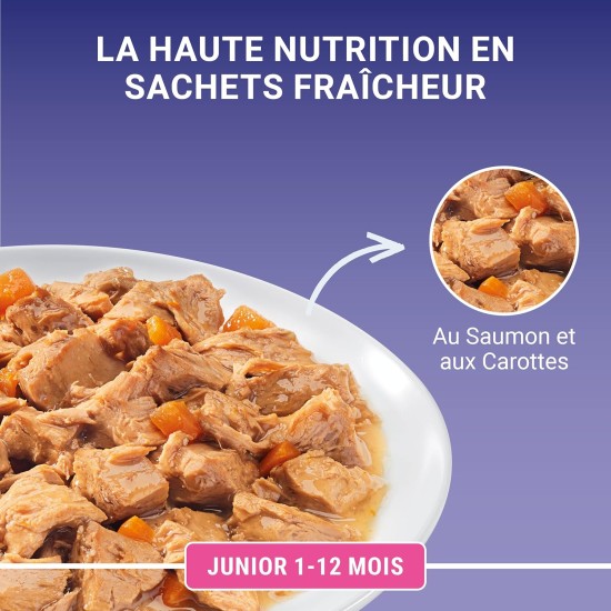 PURINA ONE Junior with Salmon for Kittens | 4 x 85g | Pack of 4 PURINA ONE Junior with Salmon for Kittens | 4 x 85g | Pack of 4