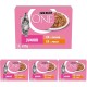 PURINA One Junior 8 x 85g Dispersion Sauce Assorted Flavours Salmon and Chicken Kitten PURINA One Junior 8 x 85g Dispersion Sauce Assorted Flavours Salmon and Chicken Kitten