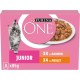 PURINA One Junior 8 x 85g Dispersion Sauce Assorted Flavours Salmon and Chicken Kitten PURINA One Junior 8 x 85g Dispersion Sauce Assorted Flavours Salmon and Chicken Kitten