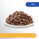 Perfect Fit Sensitive 1+ - Dry Food for Adult Sensitive Cats from 1 Year - Wheat-Free and Soya-Free- Supports Digestion - Various Varieties Perfect Fit Sensitive 1+ - Dry Food for Adult Sensitive Cats from 1 Year - Wheat-Free and Soya-Free- Supports Digestion - Various Varieties