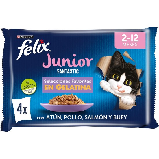 Purina Felix Men's Fantastic Junior, Brown, 48 Sobres de 85 g (Pack of 12), brown, 340 g (pack of 12) Purina Felix Men's Fantastic Junior, Brown, 48 Sobres de 85 g (Pack of 12), brown, 340 g (pack of 12)