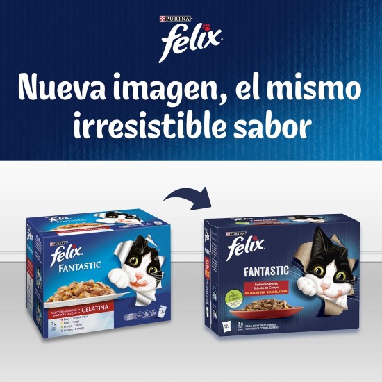 Purina Felix Men's Fantastic Junior, Brown, 48 Sobres de 85 g (Pack of 12), brown, 340 g (pack of 12) Purina Felix Men's Fantastic Junior, Brown, 48 Sobres de 85 g (Pack of 12), brown, 340 g (pack of 12)