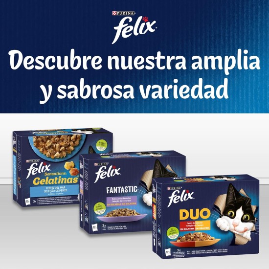 Purina Felix Men's Fantastic Junior, Brown, 48 Sobres de 85 g (Pack of 12), brown, 340 g (pack of 12) Purina Felix Men's Fantastic Junior, Brown, 48 Sobres de 85 g (Pack of 12), brown, 340 g (pack of 12)