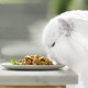 Purina Gourmet Beads, Fine Strips in Sauce, 12 x [4 x 85g]