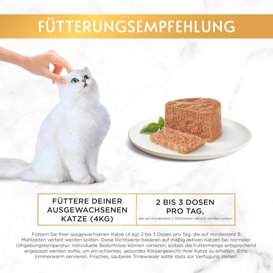 Purina Gourmet Gold Fine Pate High quality cat food, pack of 12 (12 x 85 g tin) Purina Gourmet Gold Fine Pate High quality cat food, pack of 12 (12 x 85 g tin)