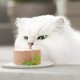 Purina Gourmet Gold Fine Pate Wet Cat Food with Chicken, Pack of 12 (12 x 85 g) Purina Gourmet Gold Fine Pate Wet Cat Food with Chicken, Pack of 12 (12 x 85 g)