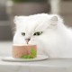 Purina Gourmet Gold Fine Pate Wet Cat Food with Chicken, Pack of 12 (12 x 85 g) Purina Gourmet Gold Fine Pate Wet Cat Food with Chicken, Pack of 12 (12 x 85 g)