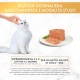 Purina Gourmet Gold Veal Mousse - 24 x 85g Tubs Purina Gourmet Gold Veal Mousse - 24 x 85g Tubs
