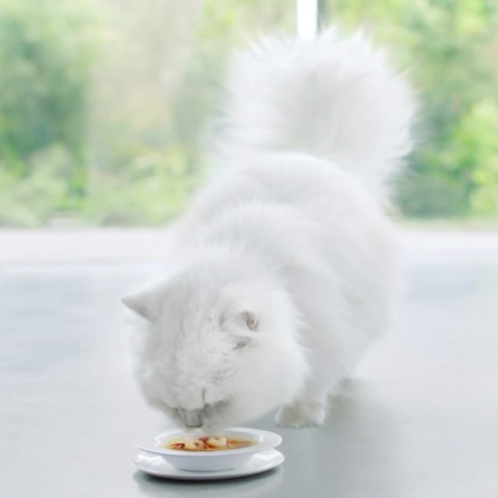 Purina gourmet crystal soup, delicious broth with natural ingredients, elegant cat food, pet food, complementary feed, 32 pack (32x40g) Purina gourmet crystal soup, delicious broth with natural ingredients, elegant cat food, pet food, complementary feed, 32 pack (32x40g)