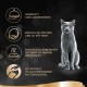 SHEBA Bowl Wet Food for Cats Finesse Fine Pate with Chicken 22 x 85 g SHEBA Bowl Wet Food for Cats Finesse Fine Pate with Chicken 22 x 85 g