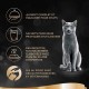 SHEBA Mini Nets in Sauce Selection of Poultry Adult Cats Bowls 4 Varieties Mega Pack 32 x 85g SHEBA Mini Nets in Sauce Selection of Poultry Adult Cats Bowls 4 Varieties Mega Pack 32 x 85g