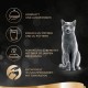 SHEBA Nature's Collection Wet Food Bowl for Cats, in Sauce with Chicken, 2 x 11 x 85 g SHEBA Nature's Collection Wet Food Bowl for Cats, in Sauce with Chicken, 2 x 11 x 85 g