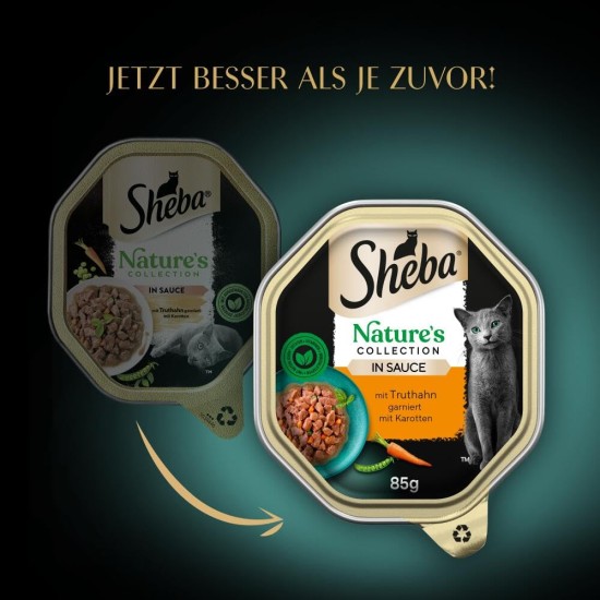 SHEBA Nature's Collection Wet Food Bowl for Cats, in Sauce with Salmon, 2 x 11 x 85 g SHEBA Nature's Collection Wet Food Bowl for Cats, in Sauce with Salmon, 2 x 11 x 85 g