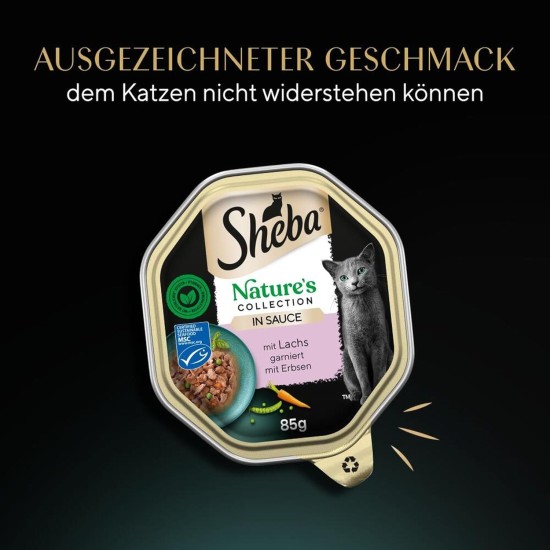 SHEBA Nature's Collection Wet Food Bowl for Cats, in Sauce with Salmon, 2 x 11 x 85 g SHEBA Nature's Collection Wet Food Bowl for Cats, in Sauce with Salmon, 2 x 11 x 85 g