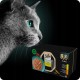 SHEBA Nature's Collection Wet Food Bowl for Cats, in Sauce with Salmon, 2 x 11 x 85 g SHEBA Nature's Collection Wet Food Bowl for Cats, in Sauce with Salmon, 2 x 11 x 85 g