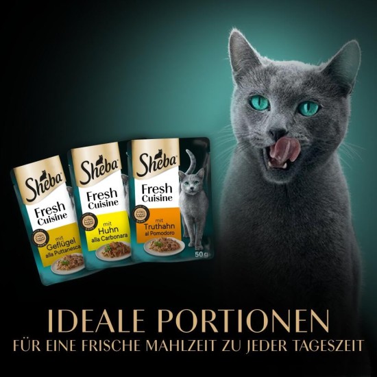 SHEBA Portion Bag Cat Food Multipack Fresh Cuisine Taste of Rome with Turkey and Chicken, 6 x 6 x 50 g - Fine Cat Food Made of Turkey and Chicken SHEBA Portion Bag Cat Food Multipack Fresh Cuisine Taste of Rome with Turkey and Chicken, 6 x 6 x 50 g - Fine Cat Food Made of Turkey and Chicken