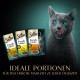 SHEBA Portion Bag Cat Food Multipack Fresh Cuisine Taste of Rome with Turkey and Chicken, 6 x 6 x 50 g - Fine Cat Food Made of Turkey and Chicken SHEBA Portion Bag Cat Food Multipack Fresh Cuisine Taste of Rome with Turkey and Chicken, 6 x 6 x 50 g - Fine Cat Food Made of Turkey and Chicken