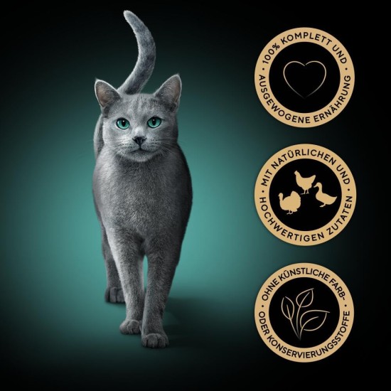 SHEBA Portion Bag Cat Wet Food Multipack Fresh & Fine in Jelly with Turkey and Chicken, 6 x 6 x 50 g - High-Quality Cat Food in Jelly with Turkey and Chicken SHEBA Portion Bag Cat Wet Food Multipack Fresh & Fine in Jelly with Turkey and Chicken, 6 x 6 x 50 g - High-Quality Cat Food in Jelly with Turkey and Chicken