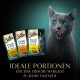 SHEBA Portion Bag Cat Wet Food Multipack Fresh & Fine in Jelly with Turkey and Chicken, 6 x 6 x 50 g - High-Quality Cat Food in Jelly with Turkey and Chicken SHEBA Portion Bag Cat Wet Food Multipack Fresh & Fine in Jelly with Turkey and Chicken, 6 x 6 x 50 g - High-Quality Cat Food in Jelly with Turkey and Chicken