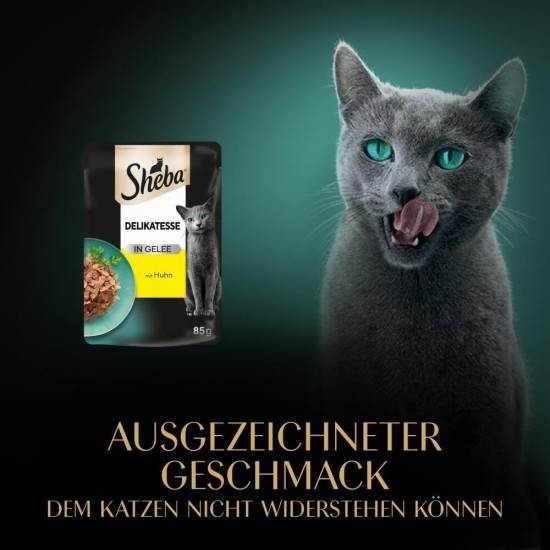 SHEBA® Portionsbeutel Delikatesse in Gelee mit Thunfisch MSC 28 x 85g SHEBA® Portionsbeutel Delikatesse in Gelee mit Thunfisch MSC 28 x 85g