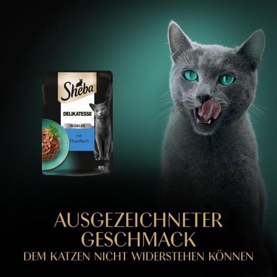 SHEBA® Portionsbeutel Delikatesse in Gelee mit Thunfisch MSC 28 x 85g SHEBA® Portionsbeutel Delikatesse in Gelee mit Thunfisch MSC 28 x 85g