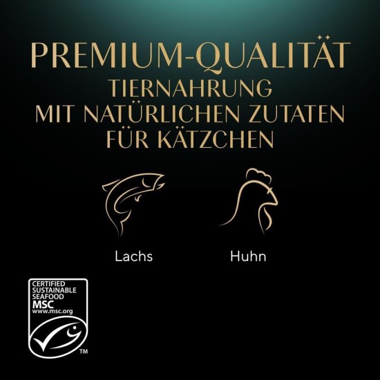 SHEBA® Portionsbeutel Multipack Mega-Pack Kitten in Sauce Feine Vielfalt mit Lachs, mit Huhn MSC 40 x 85g SHEBA® Portionsbeutel Multipack Mega-Pack Kitten in Sauce Feine Vielfalt mit Lachs, mit Huhn MSC 40 x 85g