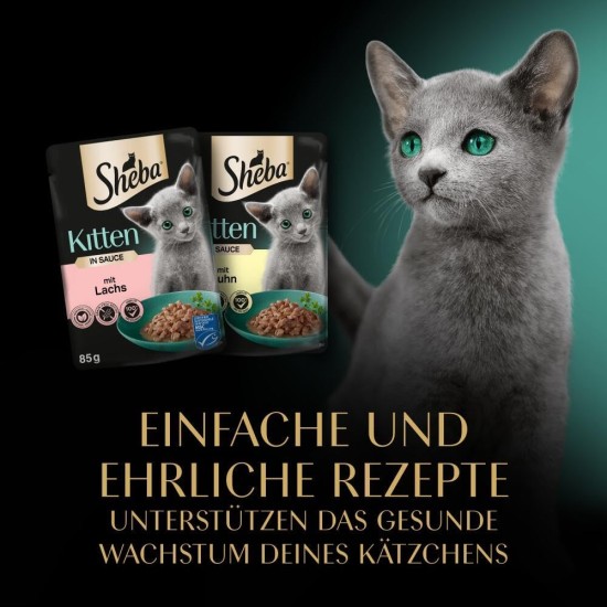 SHEBA® Portionsbeutel Multipack Mega-Pack Kitten in Sauce Feine Vielfalt mit Lachs, mit Huhn MSC 40 x 85g SHEBA® Portionsbeutel Multipack Mega-Pack Kitten in Sauce Feine Vielfalt mit Lachs, mit Huhn MSC 40 x 85g