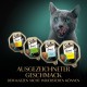 SHEBA® Portionsbeutel Multipack Sauce Collection Geflügel Variation 4 x 12x85g SHEBA® Portionsbeutel Multipack Sauce Collection Geflügel Variation 4 x 12x85g