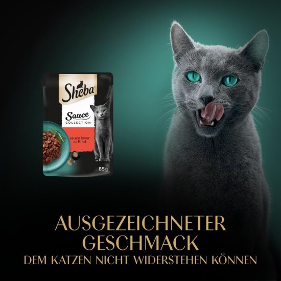 SHEBA® Portionsbeutel Sauce Collection Sauce Lover mit Truthahn 28 x 85g SHEBA® Portionsbeutel Sauce Collection Sauce Lover mit Truthahn 28 x 85g