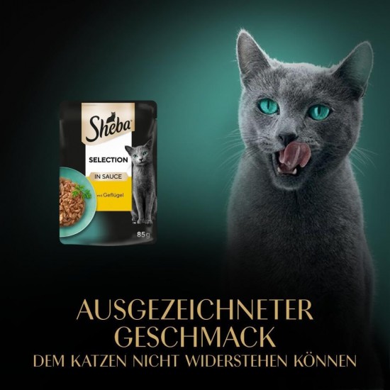 SHEBA Portionsbeutel Selection in Sauce mit Hochseefisch MSC 28 x 85g SHEBA Portionsbeutel Selection in Sauce mit Hochseefisch MSC 28 x 85g
