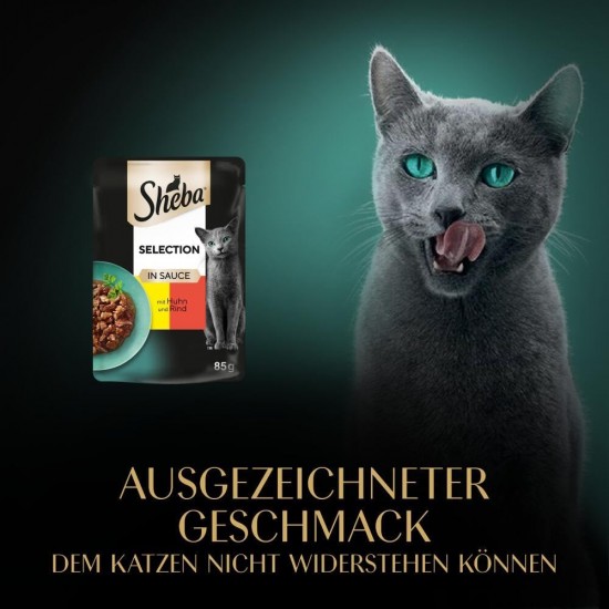 SHEBA Portionsbeutel Selection in Sauce mit Hochseefisch MSC 28 x 85g SHEBA Portionsbeutel Selection in Sauce mit Hochseefisch MSC 28 x 85g