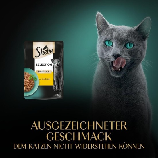 SHEBA® Portionsbeutel Selection in Sauce mit Lachs MSC 28 x 85g SHEBA® Portionsbeutel Selection in Sauce mit Lachs MSC 28 x 85g