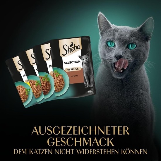 SHEBA® Schale Multipack Mega-Pack Sauce Collection Feine Vielfalt MSC 32x85g SHEBA® Schale Multipack Mega-Pack Sauce Collection Feine Vielfalt MSC 32x85g