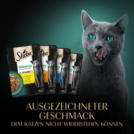 SHEBA® Schale Multipack Mega-Pack Sauce Collection Feine Vielfalt MSC 32x85g SHEBA® Schale Multipack Mega-Pack Sauce Collection Feine Vielfalt MSC 32x85g
