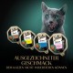 SHEBA Schale Multipack Sauce Collection Feine Vielfalt MSC 4x12x85g SHEBA Schale Multipack Sauce Collection Feine Vielfalt MSC 4x12x85g
