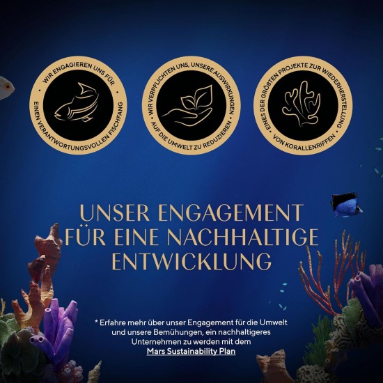 SHEBA® Schale Sauce Collection Sauce Lover mit Thunfisch MSC 2 x 11 x 85g SHEBA® Schale Sauce Collection Sauce Lover mit Thunfisch MSC 2 x 11 x 85g