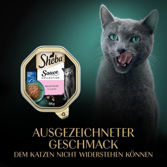 SHEBA® Schale Sauce Collection Sauce Lover mit Thunfisch MSC 2 x 11 x 85g SHEBA® Schale Sauce Collection Sauce Lover mit Thunfisch MSC 2 x 11 x 85g