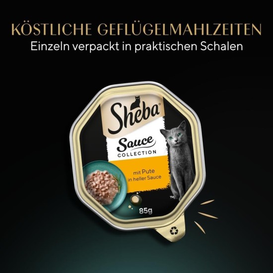 SHEBA® Schale Sauce Collection Sauce Lover mit Thunfisch MSC 2 x 11 x 85g SHEBA® Schale Sauce Collection Sauce Lover mit Thunfisch MSC 2 x 11 x 85g