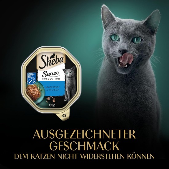 SHEBA® Schale Sauce Collection Sauce Lover mit Thunfisch MSC 2 x 11 x 85g SHEBA® Schale Sauce Collection Sauce Lover mit Thunfisch MSC 2 x 11 x 85g