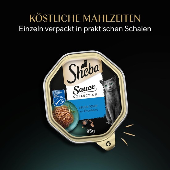SHEBA® Schale Sauce Collection Sauce Lover mit Thunfisch MSC 2 x 11 x 85g SHEBA® Schale Sauce Collection Sauce Lover mit Thunfisch MSC 2 x 11 x 85g
