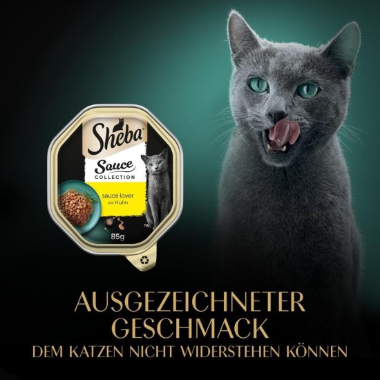 SHEBA® Schale Sauce Collection mit Pute in heller Sauce 2 x 11 x 85g SHEBA® Schale Sauce Collection mit Pute in heller Sauce 2 x 11 x 85g