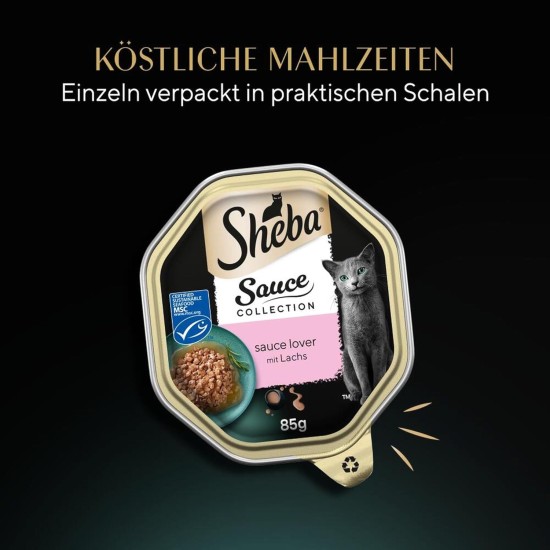 SHEBA® Schale Sauce Collection mit Pute in heller Sauce 2 x 11 x 85g SHEBA® Schale Sauce Collection mit Pute in heller Sauce 2 x 11 x 85g