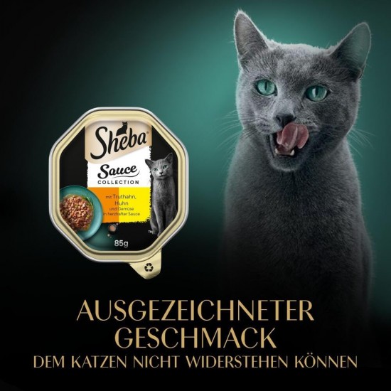 SHEBA® Schale Selection in Sauce mit Kalb und Truthahn 2 x 11 x 85g SHEBA® Schale Selection in Sauce mit Kalb und Truthahn 2 x 11 x 85g