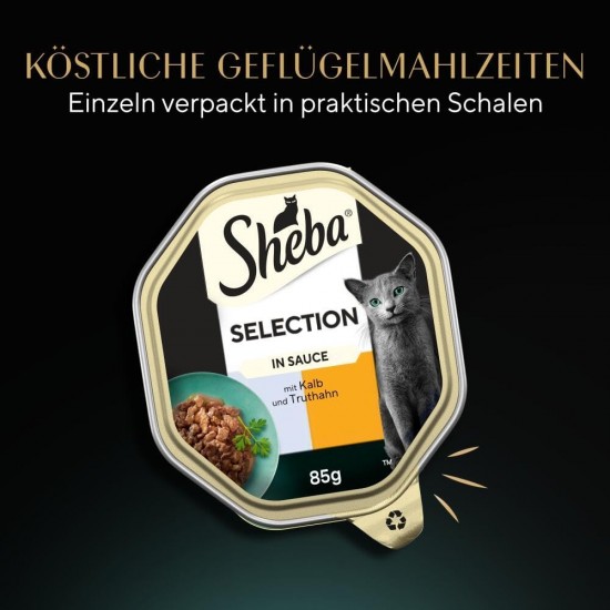 SHEBA® Schale Selection in Sauce mit Kalb und Truthahn 2 x 11 x 85g SHEBA® Schale Selection in Sauce mit Kalb und Truthahn 2 x 11 x 85g