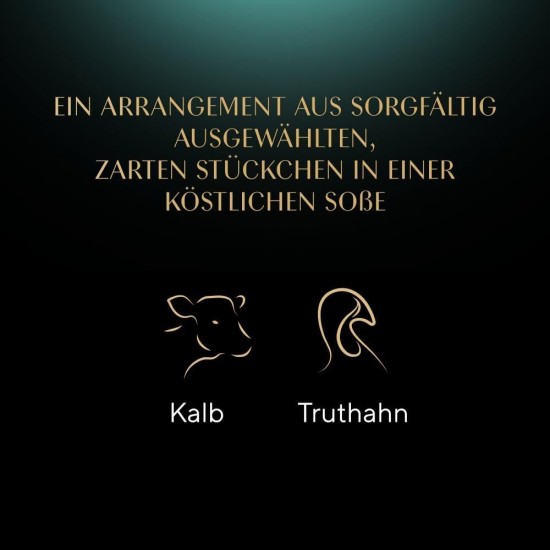 SHEBA® Schale Selection in Sauce mit Kalb und Truthahn 2 x 11 x 85g SHEBA® Schale Selection in Sauce mit Kalb und Truthahn 2 x 11 x 85g