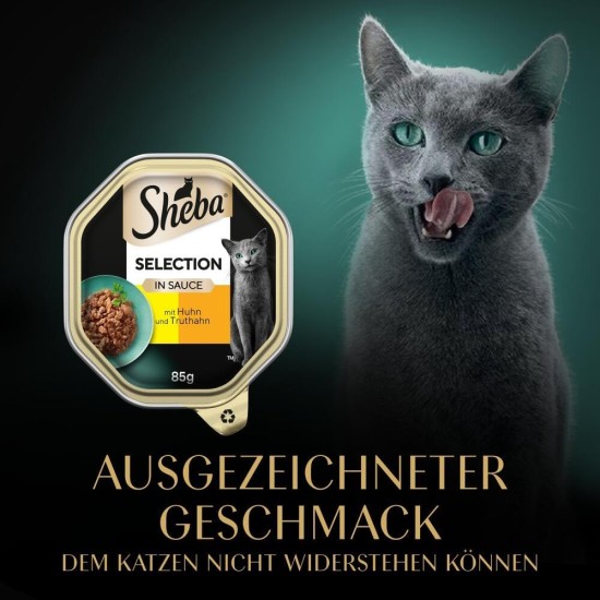 SHEBA® Schale Selection in Sauce mit Rind und Truthahn 2 x 11 x 85g SHEBA® Schale Selection in Sauce mit Rind und Truthahn 2 x 11 x 85g