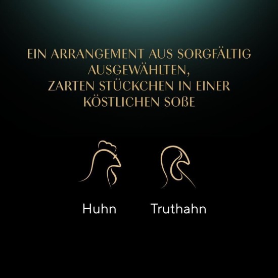 SHEBA® Schale Selection in Sauce mit Rind und Truthahn 2 x 11 x 85g SHEBA® Schale Selection in Sauce mit Rind und Truthahn 2 x 11 x 85g