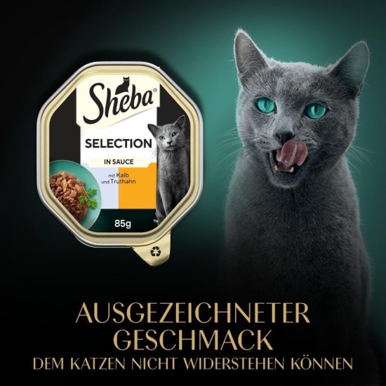SHEBA® Schale Selection in Sauce mit Rind und Truthahn 2 x 11 x 85g SHEBA® Schale Selection in Sauce mit Rind und Truthahn 2 x 11 x 85g