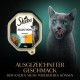 SHEBA® Schale Selection in Sauce mit Rind und Truthahn 2 x 11 x 85g SHEBA® Schale Selection in Sauce mit Rind und Truthahn 2 x 11 x 85g